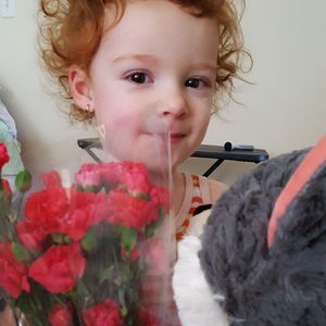 Meet your Posher, Lino